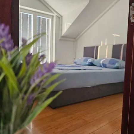 Apartment Masic *